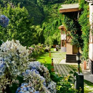 Indulge in Opulence and Tranquilly at the Finest Luxury Hotels in Manali